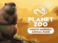 La faune nord-américaine à l'honneur dans Planet Zoo