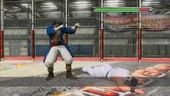Virtua Fighter 5: Final Showdown - Tutorial Video #12